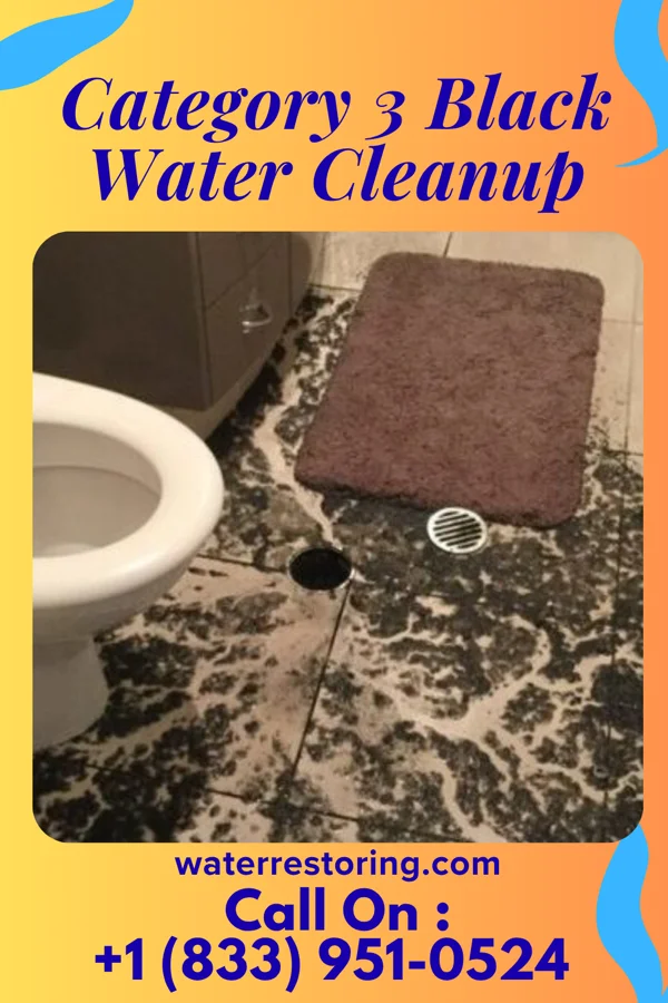 Category 3 Black Water Cleanup in Bushnell, SD