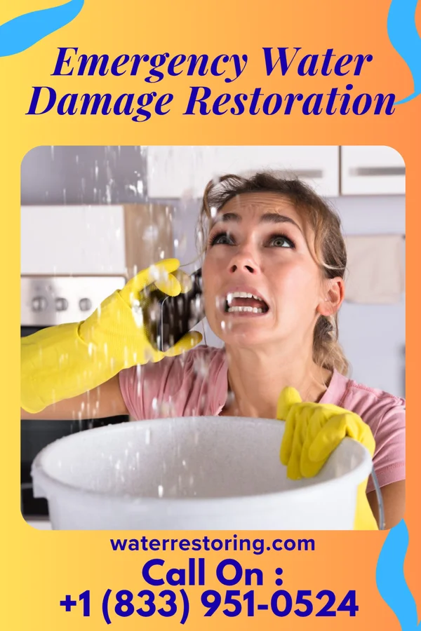 Emergency Water Damage Restoration in Bushnell, SD