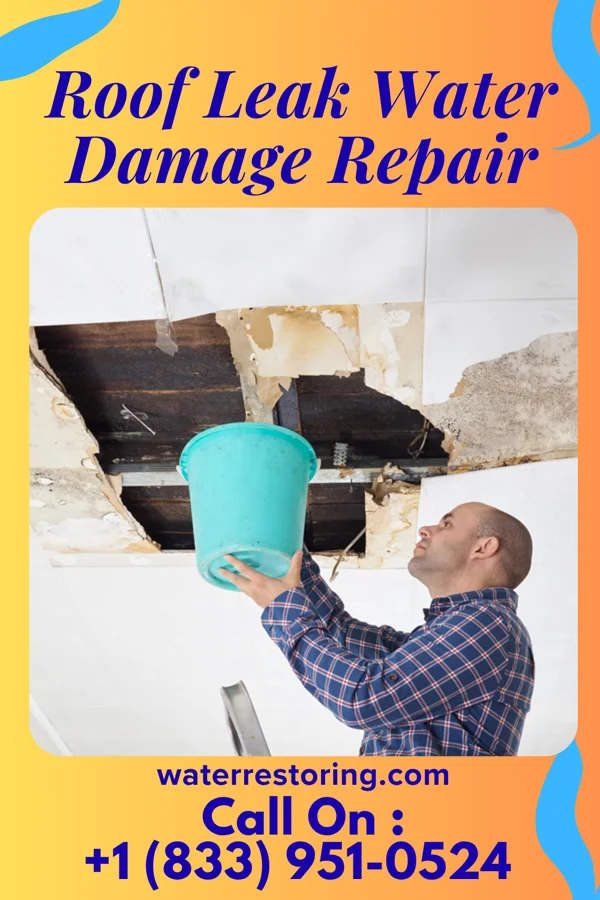Roof Leak Water Damage Repair in Bushnell, SD